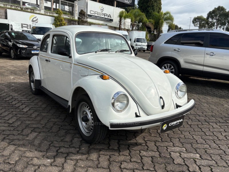 FUSCA 1.6 8V GASOLINA 2P MANUAL - 1994 - FARROUPILHA