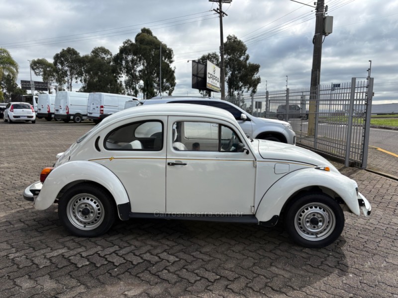 FUSCA 1.6 8V GASOLINA 2P MANUAL - 1994 - FARROUPILHA