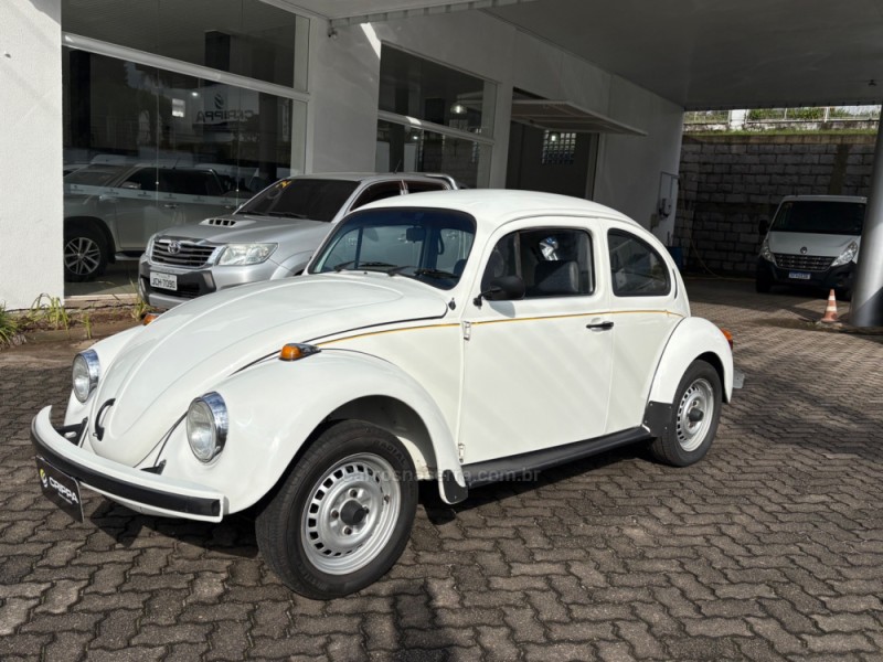 FUSCA 1.6 8V GASOLINA 2P MANUAL - 1994 - FARROUPILHA