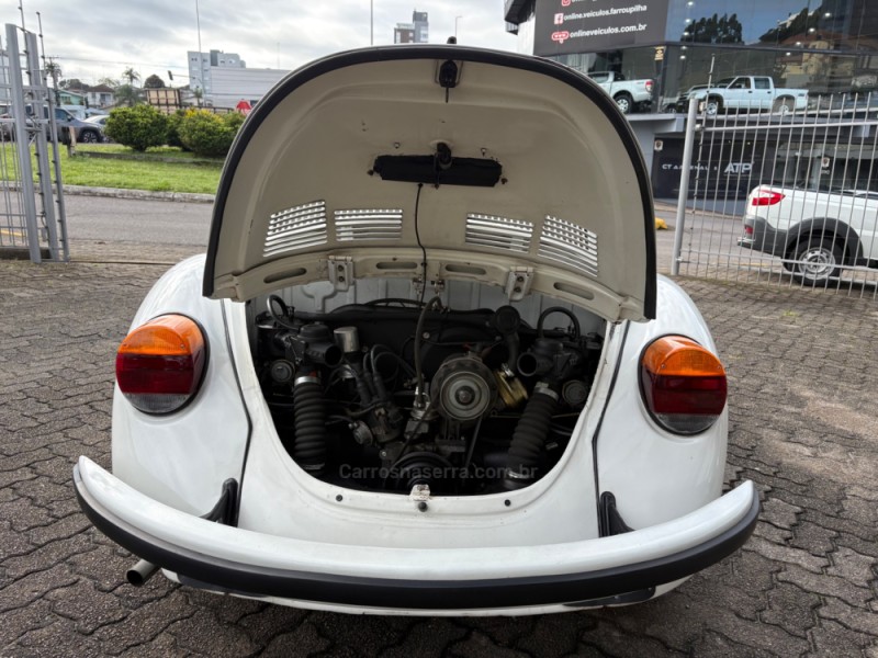 FUSCA 1.6 8V GASOLINA 2P MANUAL - 1994 - FARROUPILHA