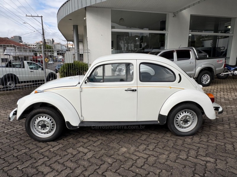 FUSCA 1.6 8V GASOLINA 2P MANUAL - 1994 - FARROUPILHA