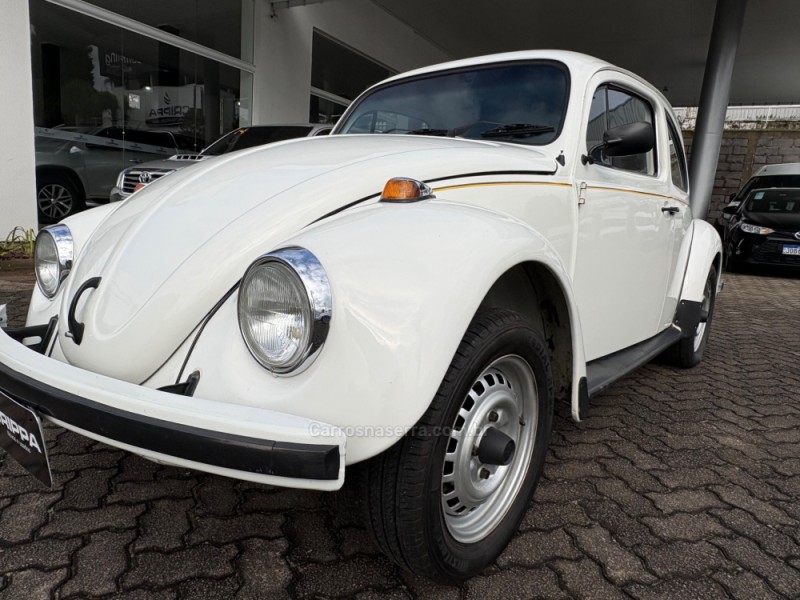FUSCA 1.6 8V GASOLINA 2P MANUAL - 1994 - FARROUPILHA