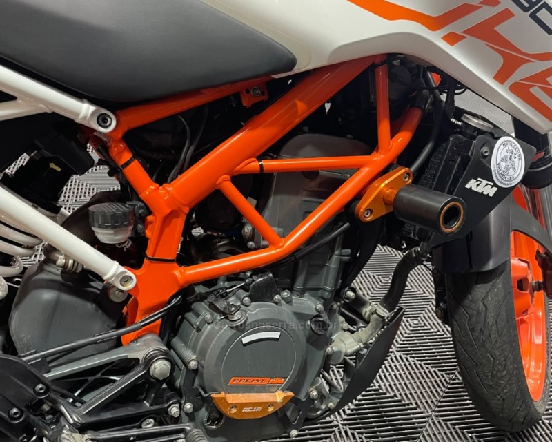 DUKE 390 ABS - 2020 - VACARIA