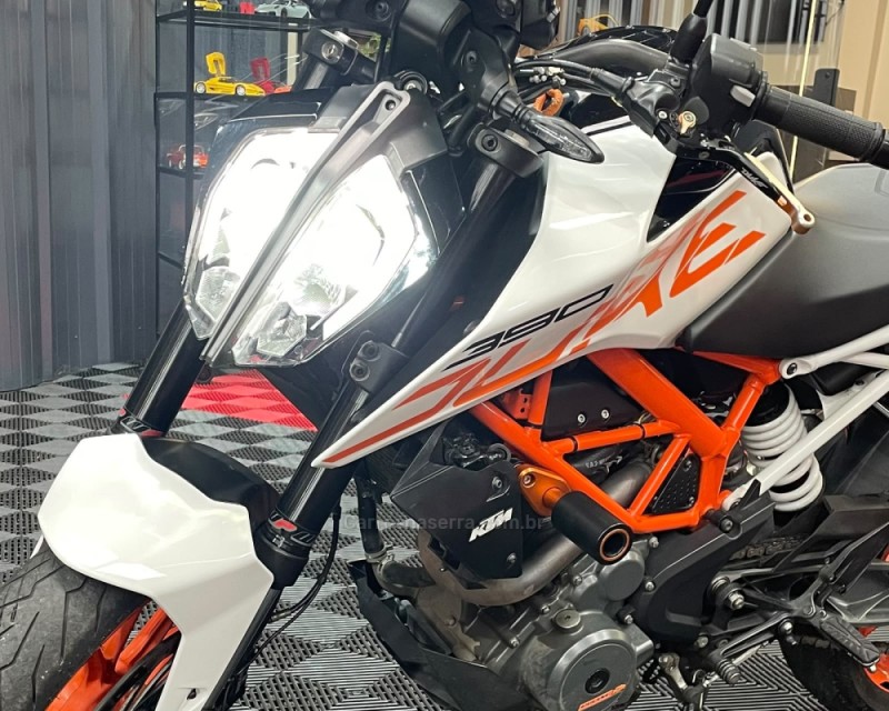 DUKE 390 ABS - 2020 - VACARIA