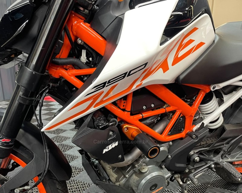 DUKE 390 ABS - 2020 - VACARIA