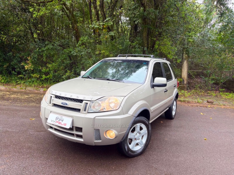 ecosport 2.0 xlt 16v flex 4p manual 2008 feliz