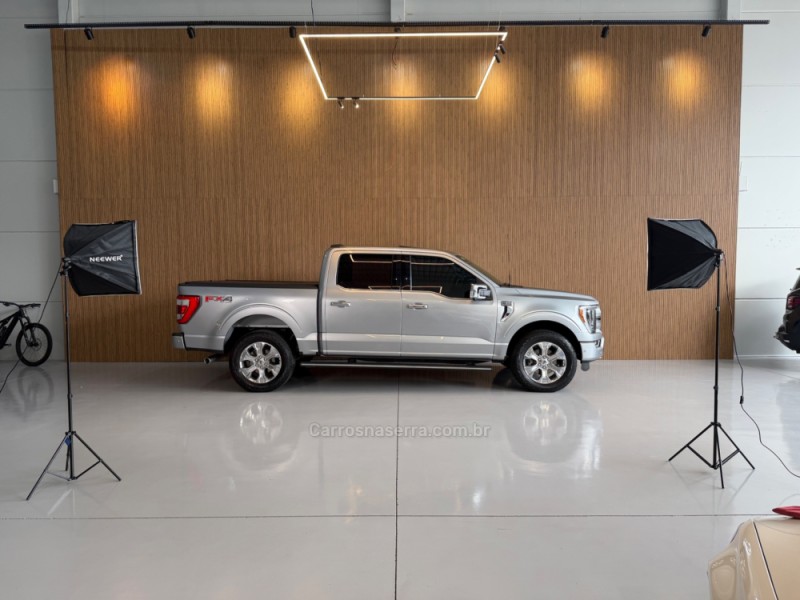 F-150 5.0 PLATINUM 4X4 V8 16V GASOLINA 4P AUTOMÁTICO - 2023 - BENTO GONçALVES