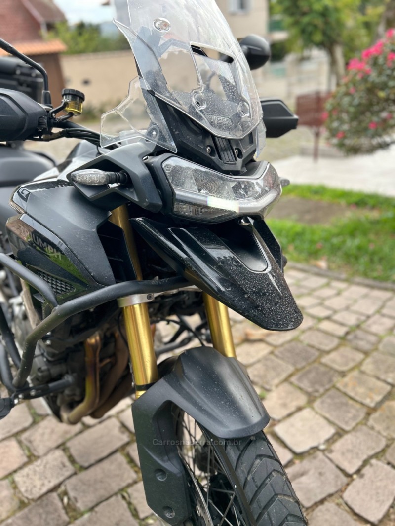 TIGER 1200 BLEDT  - 2024 - SãO LEOPOLDO