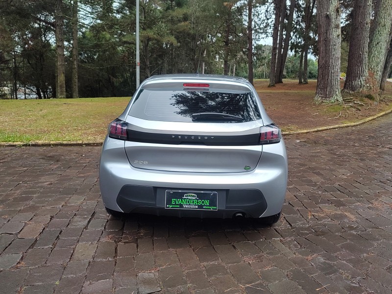 208 1.0 FIREFLY FLEX LIKE MANUAL - 2024 - CAXIAS DO SUL