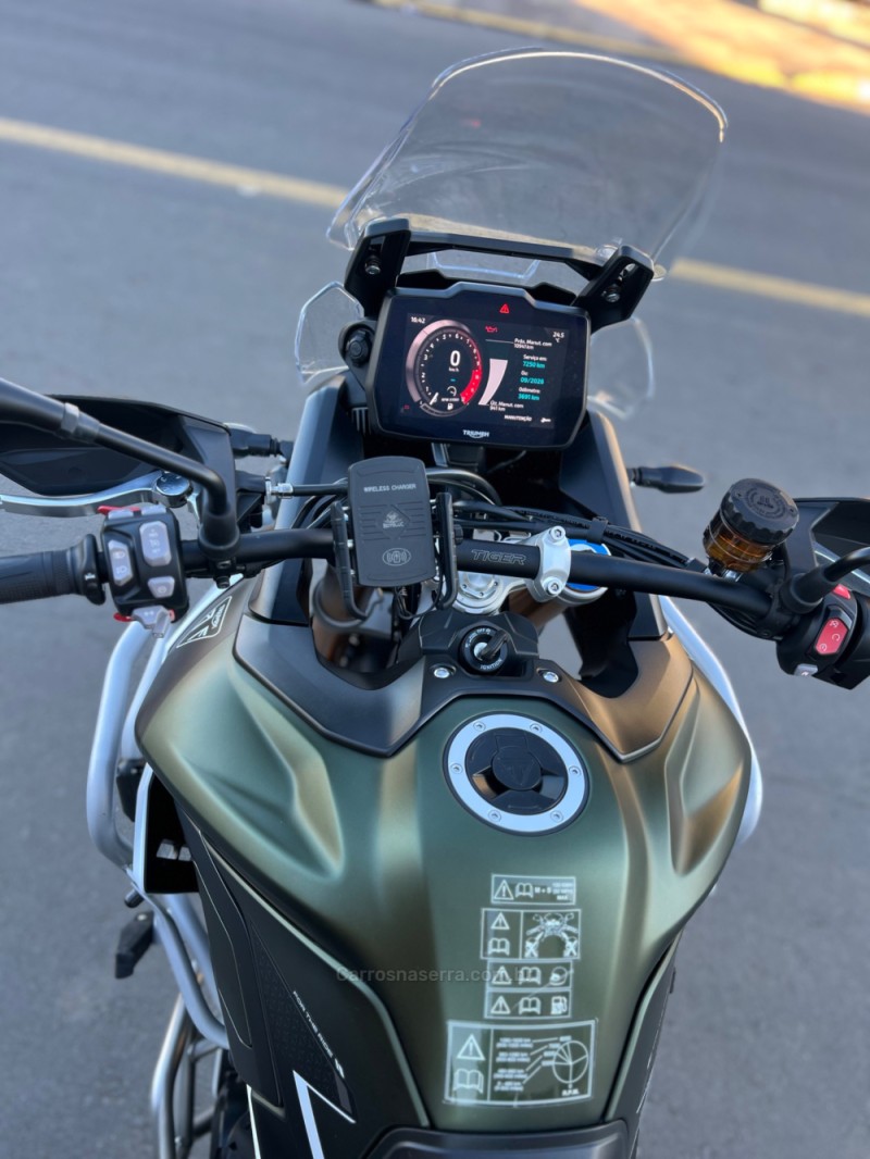 TIGER 900 RALLY PRO  - 2025 - SãO LEOPOLDO
