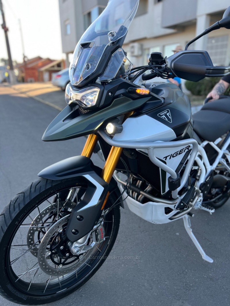 TIGER 900 RALLY PRO  - 2025 - SãO LEOPOLDO