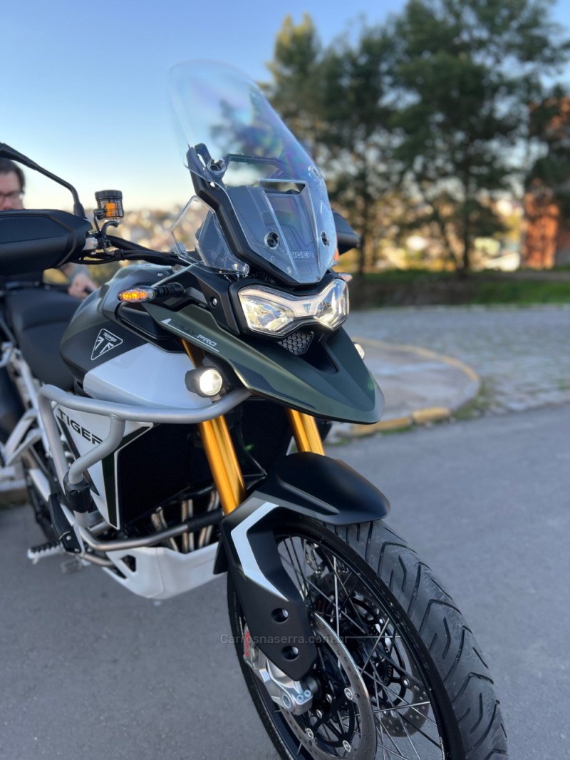 TIGER 900 RALLY PRO  - 2025 - SãO LEOPOLDO