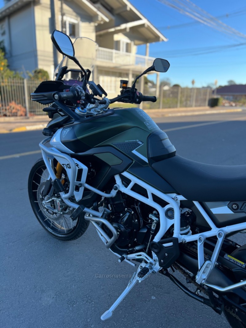 TIGER 900 RALLY PRO  - 2025 - SãO LEOPOLDO