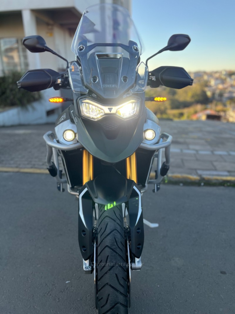 TIGER 900 RALLY PRO  - 2025 - SãO LEOPOLDO