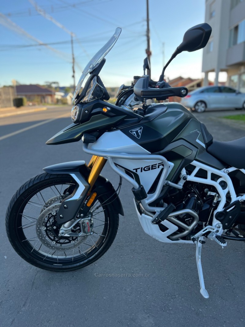 TIGER 900 RALLY PRO  - 2025 - SãO LEOPOLDO