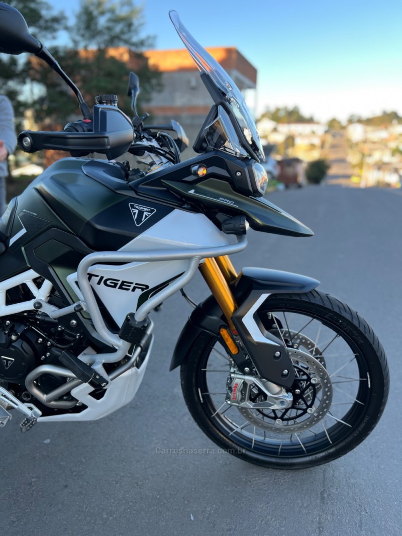 tiger 900 rally pro  2025 sao leopoldo