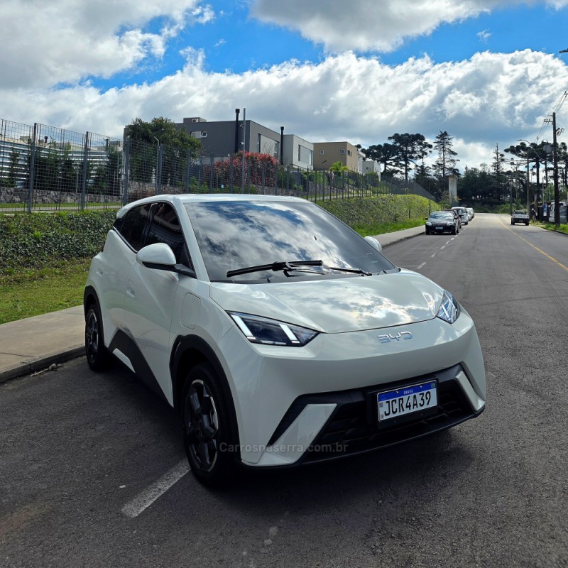 DOLPHIN MINI ELÉTRICO 4P AUTOMÁTICO - 2025 - CAXIAS DO SUL