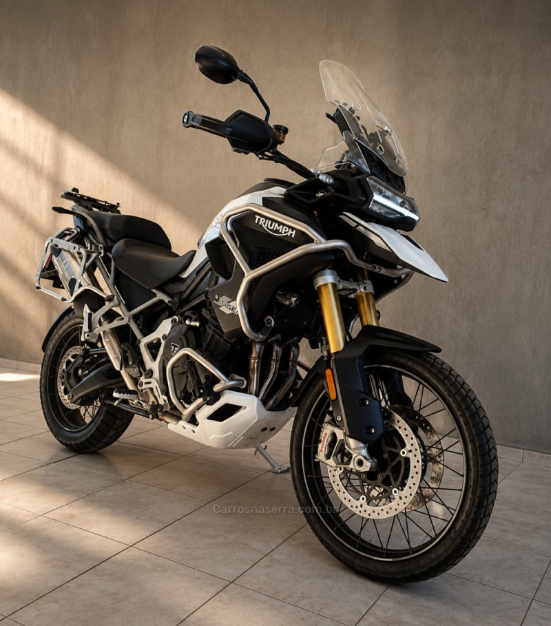tiger 1200 rally pro  2022 sao leopoldo