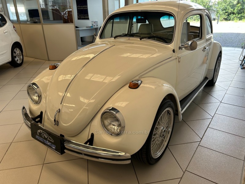 FUSCA 1.3 8V GASOLINA 2P MANUAL - 1981 - NOVO HAMBURGO