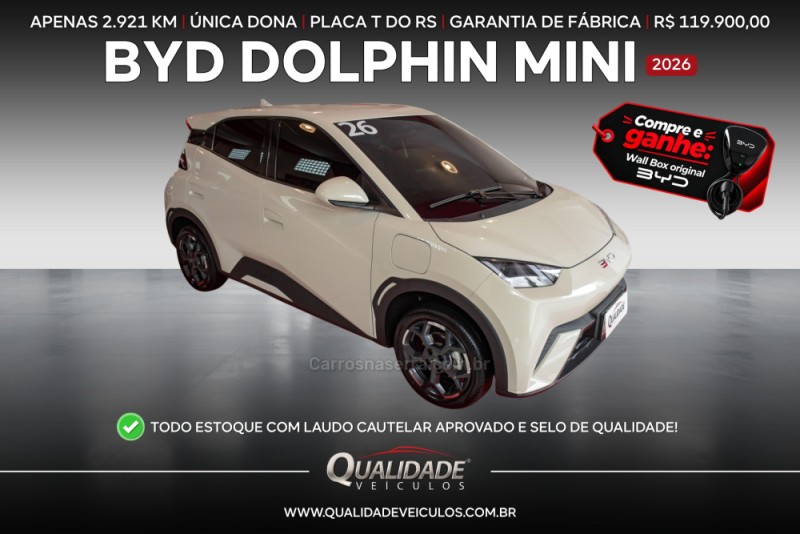 dolphin mini eletrico 4p automatico 2026 santa cruz do sul