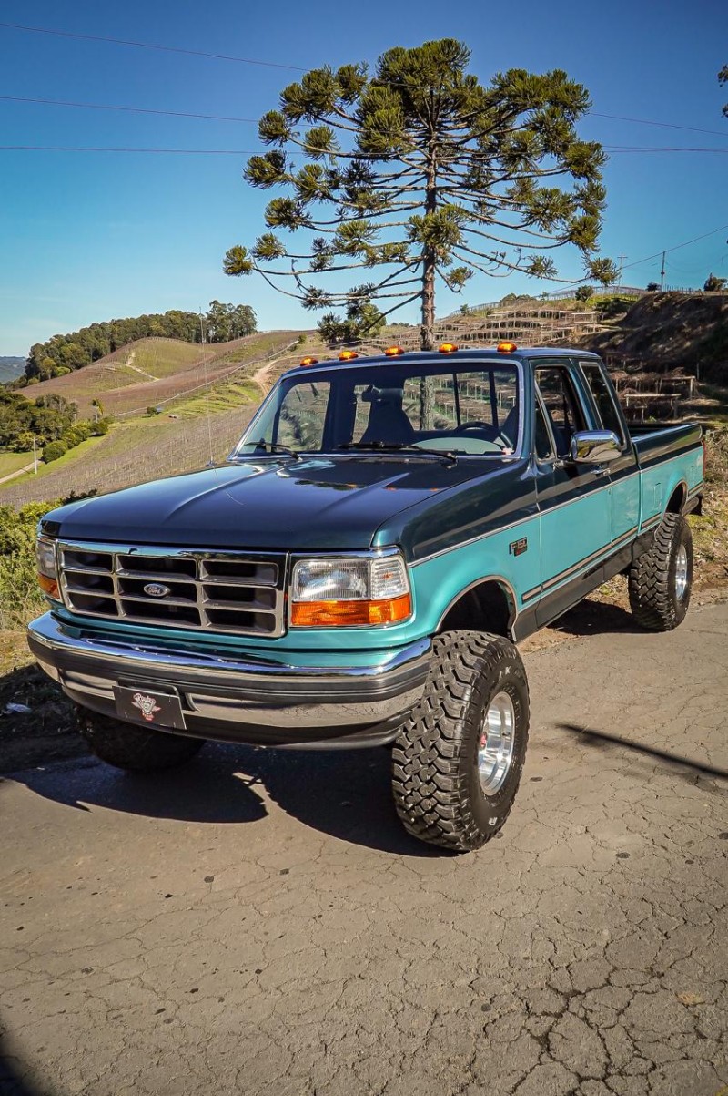 F-150 5.0 XLT SUPERCAB 4X4 V8 GASOLINA 2P MANUAL - 1994 - CAXIAS DO SUL