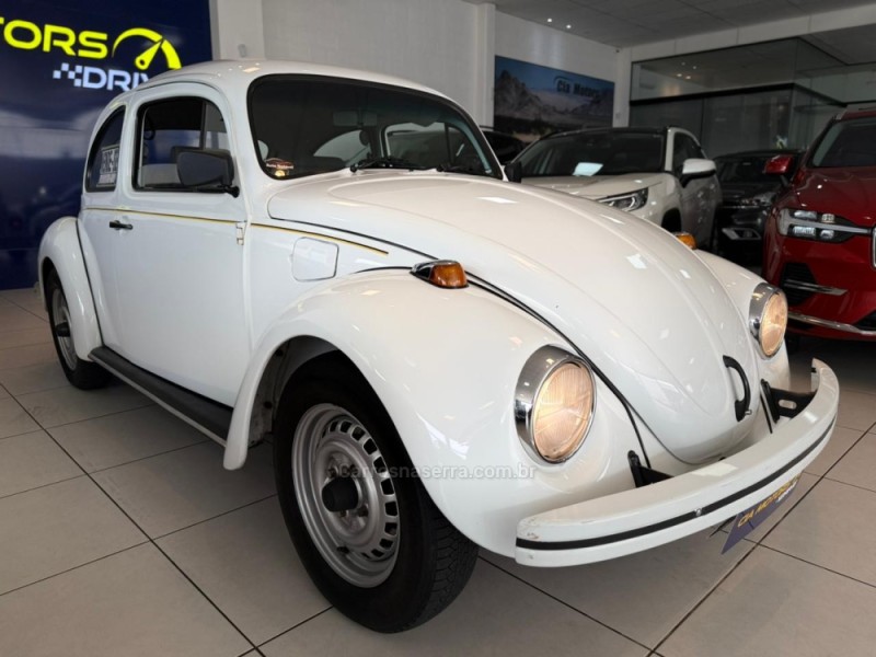 FUSCA 1.6 8V GASOLINA 2P MANUAL - 1995 - SãO LEOPOLDO