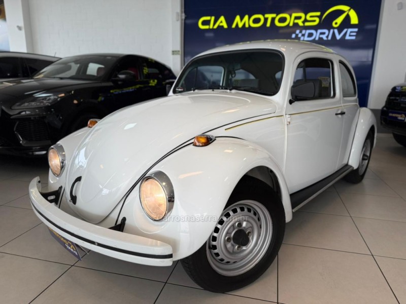 fusca 1.6 8v gasolina 2p manual 1995 sao leopoldo