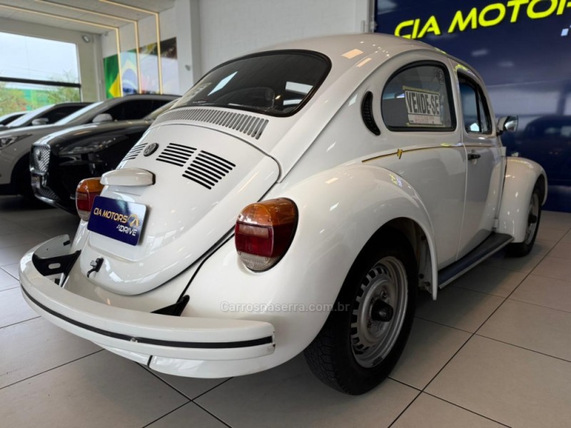 FUSCA 1.6 8V GASOLINA 2P MANUAL - 1995 - SãO LEOPOLDO
