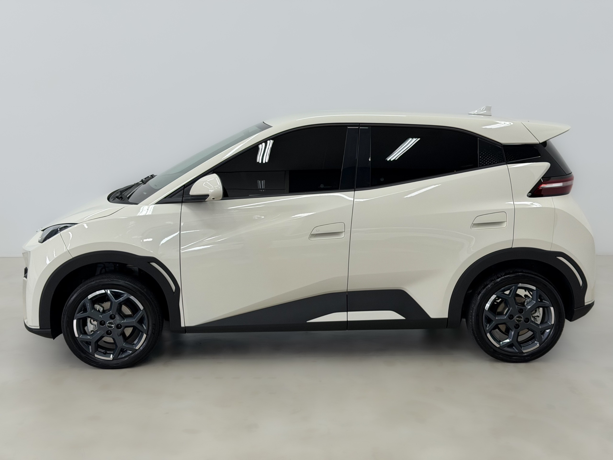 BYD DOLPHIN MINI — foto 4