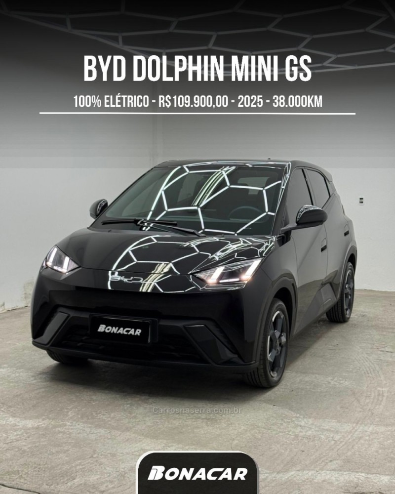 dolphin mini eletrico 4p automatico 2025 caxias do sul