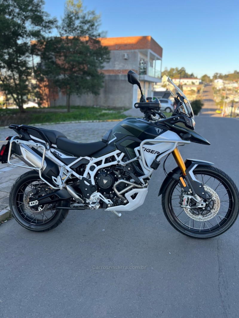 TIGER 900 RALLY PRO  - 2025 - SãO LEOPOLDO