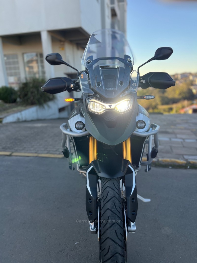 TIGER 900 RALLY PRO  - 2025 - SãO LEOPOLDO