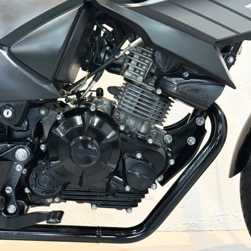 FAZER 150 FLEX FZ15 - 2023 - NOVO HAMBURGO