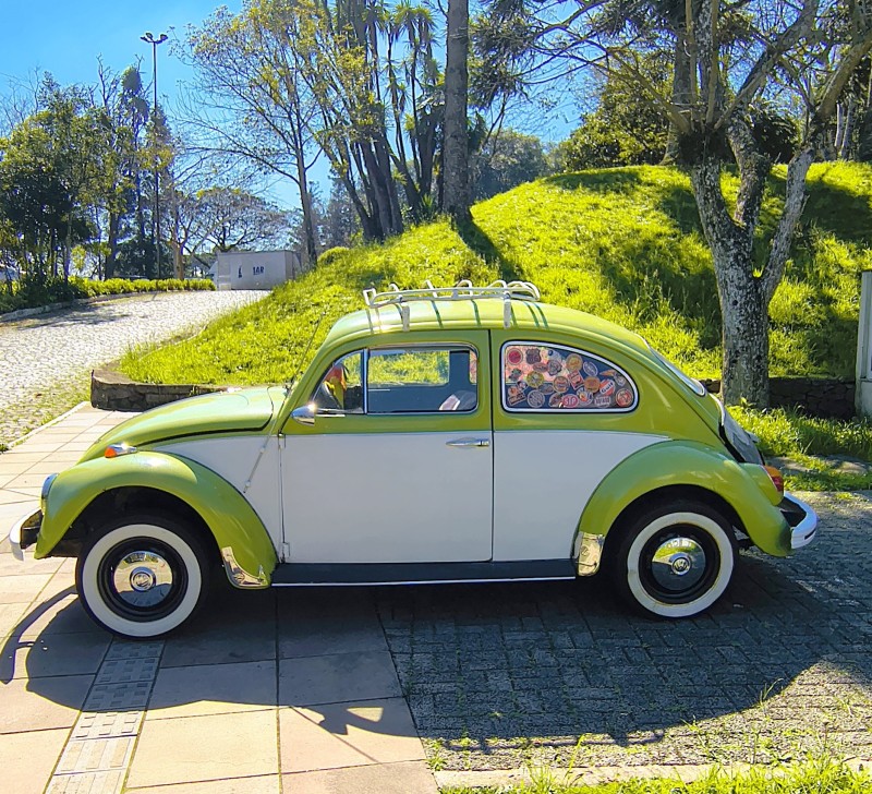 FUSCA 1.5 8V GASOLINA 2P MANUAL - 1973 - FARROUPILHA