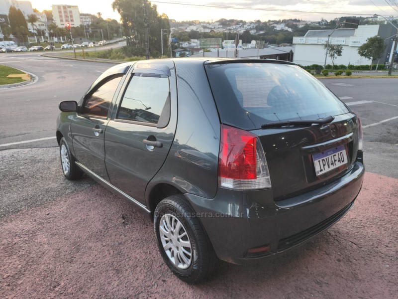 PALIO 1.0 MPI FIRE 8V FLEX 4P MANUAL - 2010 - FARROUPILHA