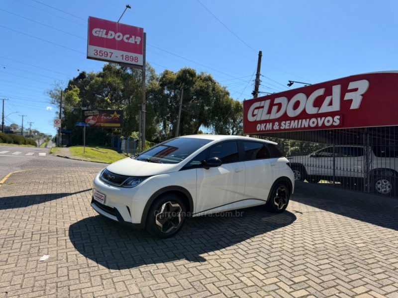 dolphin gs 180 ev eletrico 4p automatico 2024 campo bom