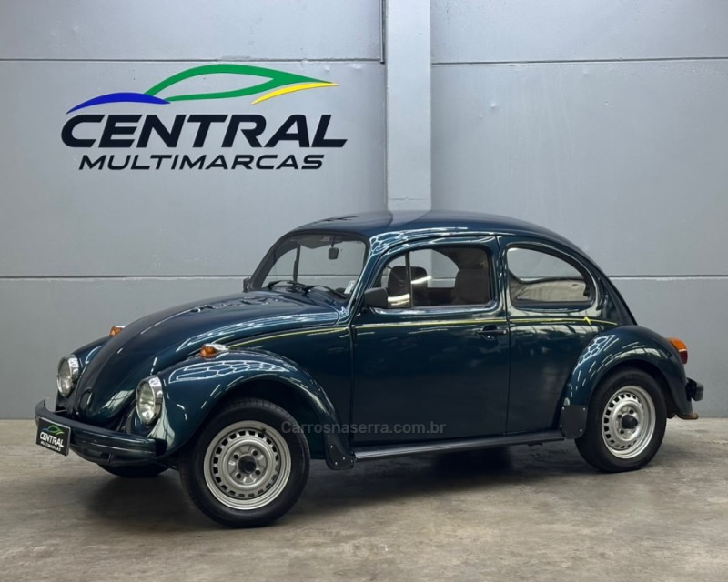 fusca 1.6 8v gasolina 2p manual 1995 vacaria