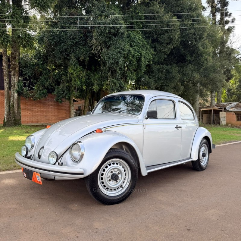 fusca 1.6 8v gasolina 2p manual 1994 vacaria
