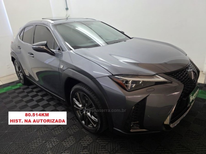 ux 250h  2019 novo hamburgo