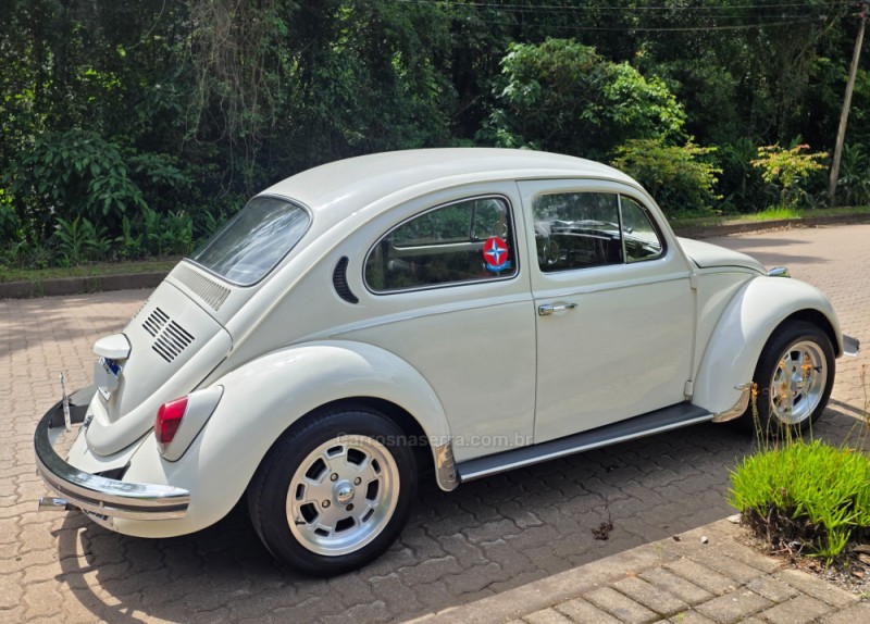 FUSCA 1.3 L 8V GASOLINA 2P MANUAL