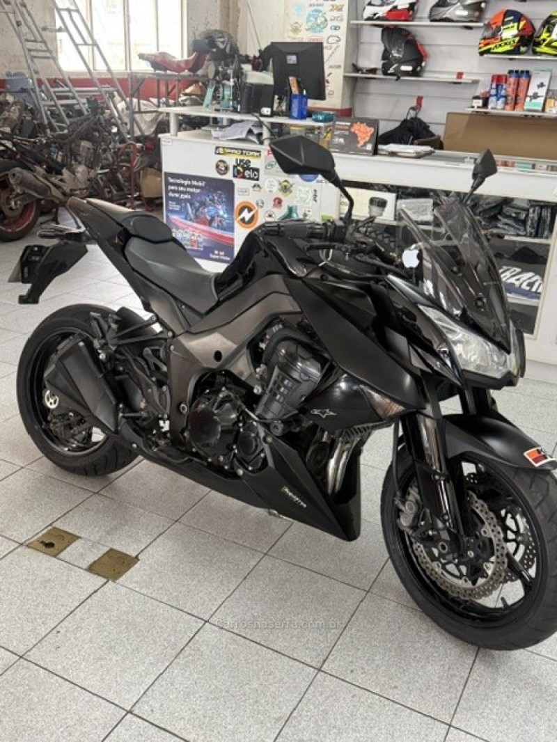 z 1000  2011 garibaldi