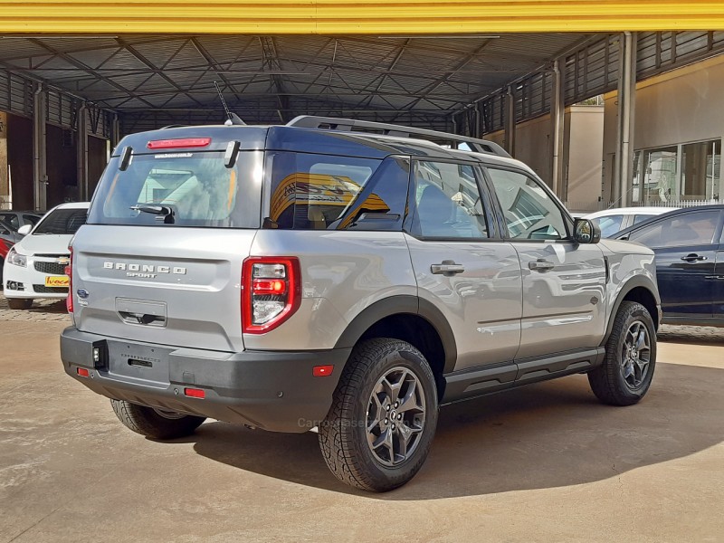 BRONCO  - 2021 - VACARIA
