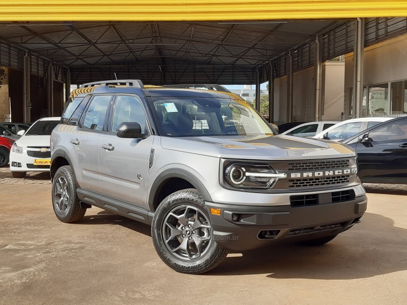 BRONCO  - 2021 - VACARIA