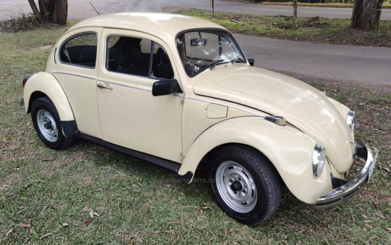 FUSCA 1.3 8V GASOLINA 2P MANUAL