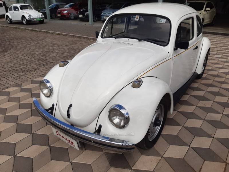FUSCA 1.6 8V GASOLINA 2P MANUAL - 1994 - BOM PRINCíPIO