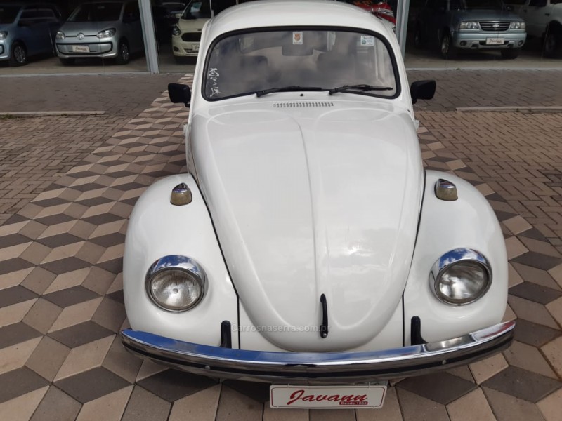 FUSCA 1.6 8V GASOLINA 2P MANUAL - 1994 - BOM PRINCíPIO