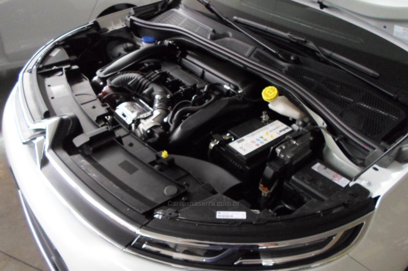 C4 CACTUS 1.6 THP SHINE PACK FLEX 4P AUTOMATICO - 2022 - FLORES DA CUNHA