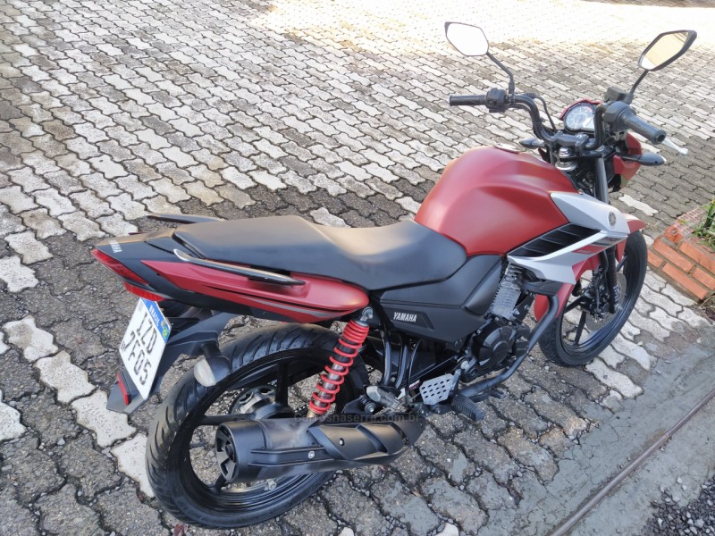 FAZER YS 150 SED - 2019 - MORRO REUTER