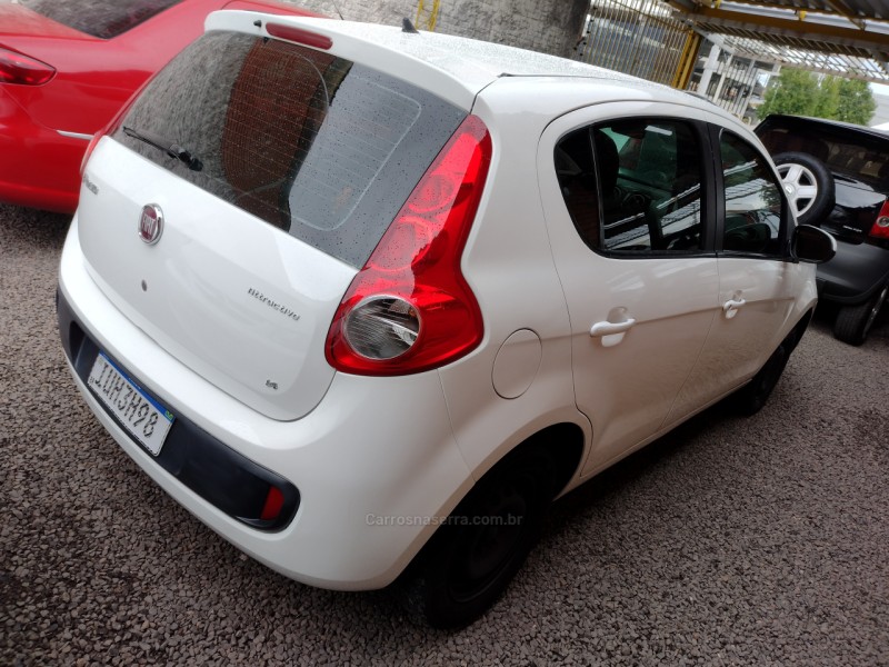 PALIO 
