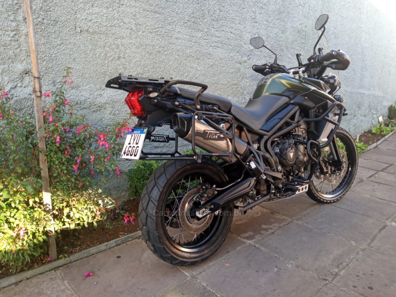 TIGER 800 XCX - 2019 - CAXIAS DO SUL